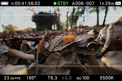 พรีวิว SIGMA fp กล้อง Full-frame Mirrorless เล็กที่สุดและเบาที่สุดในโลก